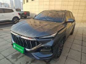 长安欧尚X5 2021款 1.5T DCT尊贵型