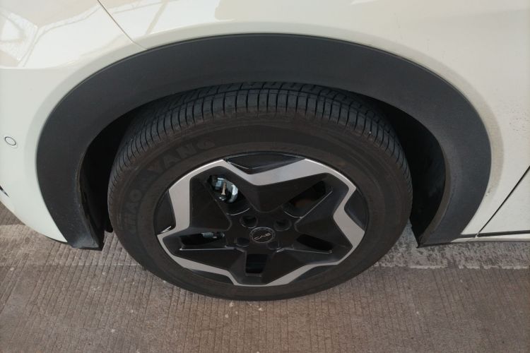 比亚迪 海豚 2025款 智驾版 420km 自由版车身外观6007