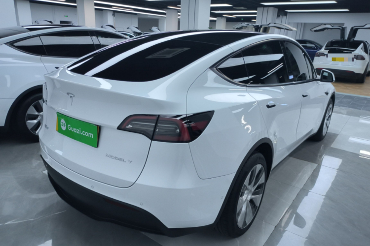 特斯拉 Model Y 2021款 长续航全轮驱动版车身外观6005