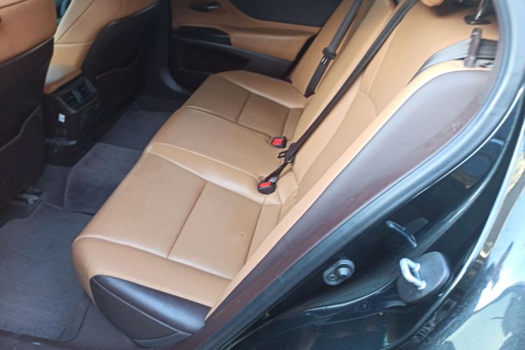 雷克萨斯ES 2020款 200 卓越版中控内饰7004