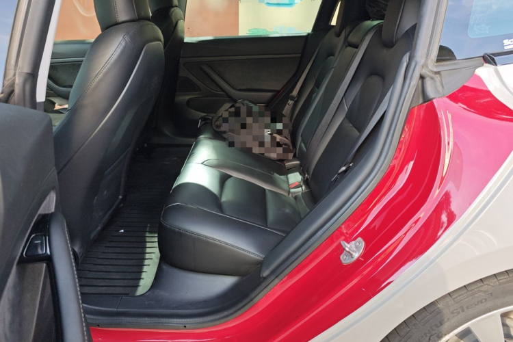 特斯拉 Model 3 2019款 标准续航后驱升级版中控内饰7004
