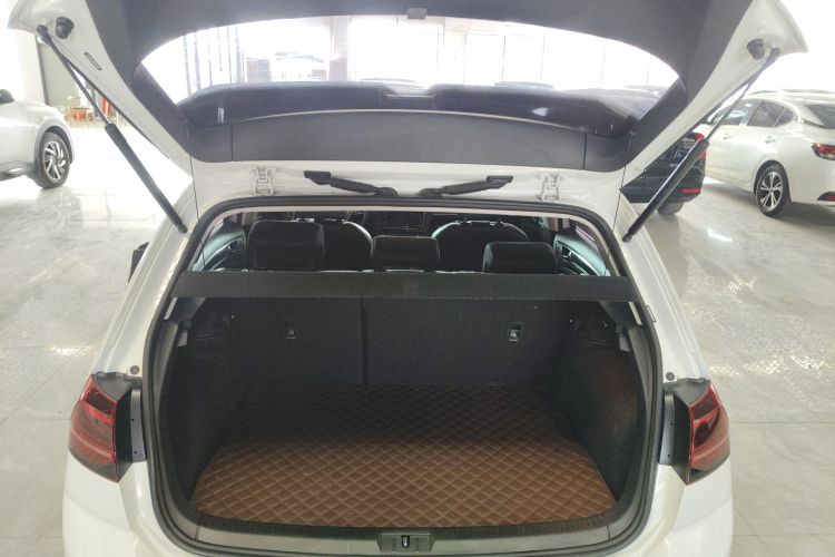 大众 高尔夫 2019款 280TSI DSG豪华型 国VI机舱底盘23