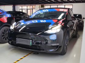 特斯拉 Model Y 2021款 标准续航后驱版