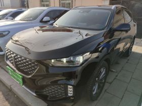 魏牌 VV6 2020款 2.0T 两驱智享+