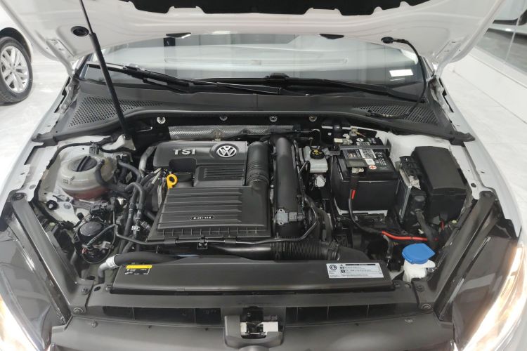 大众 高尔夫 2019款 280TSI DSG舒适型 国VI机舱底盘24