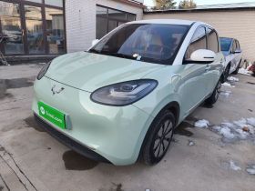 五菱汽车 五菱缤果 2023款 333km 悦享款