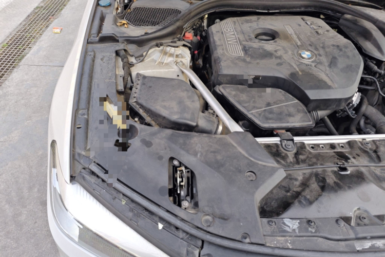 宝马5系 2020款 525Li M运动套装局部细节9006