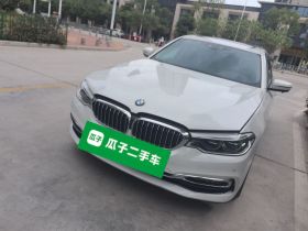 宝马5系新能源 2019款 530Le 豪华套装