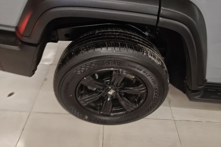 坦克300 2024款 2.0T 挑战者车身外观6008