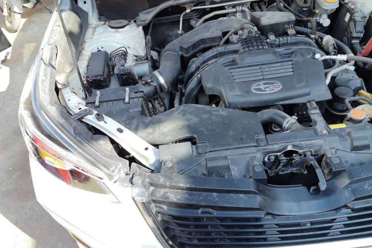 斯巴鲁 森林人 2019款 2.0i 豪华版EyeSight局部细节9006