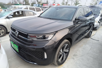 大众 揽巡 2024款 380TSI 四驱R-Line巡游版