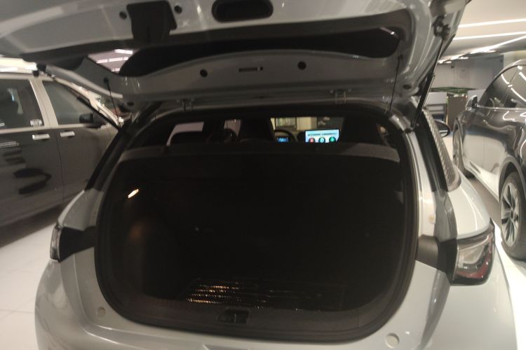 比亚迪 海豚 2021款 401km 骑士版局部细节23