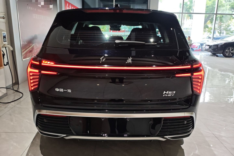 红旗HS3 PHEV 2024款 PHEV 115km 劲为版车身外观6