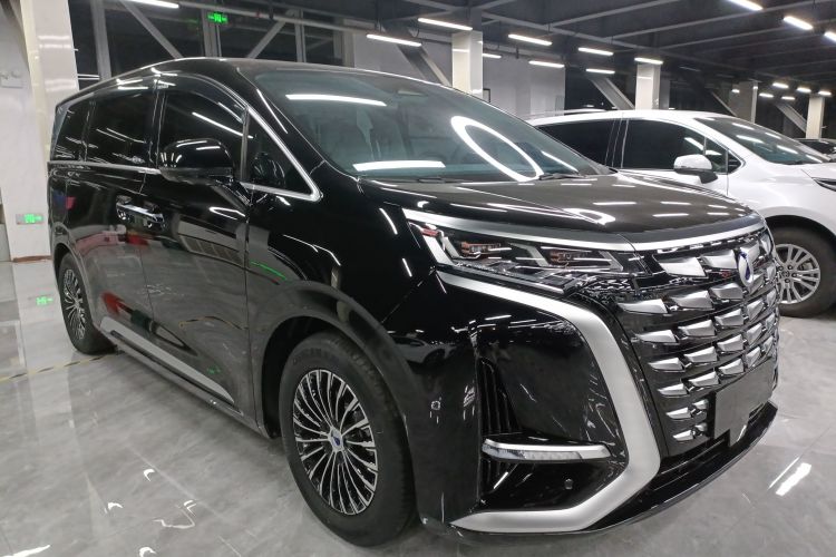 腾势D9 2024款 DM-i 980 四驱尊贵型车身外观3