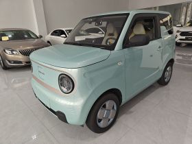 吉利银河 2024款 熊猫mini 200km 耐力熊