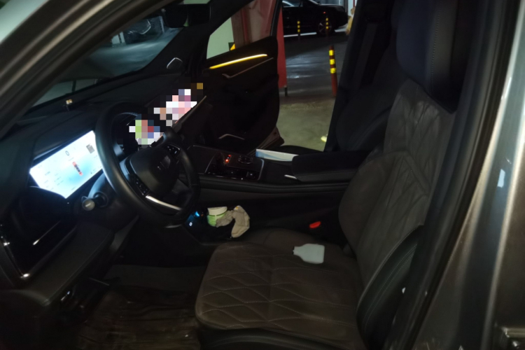 吉利汽车 星越L 2025款 东方曜 2.0TD 自动揽星版局部细节19