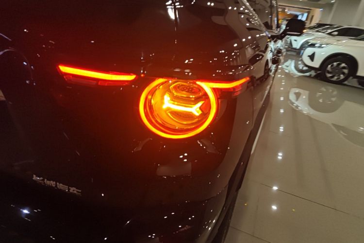 哈弗大狗 PLUS 2023款 1.5T 两驱潮野版Plus车身外观9