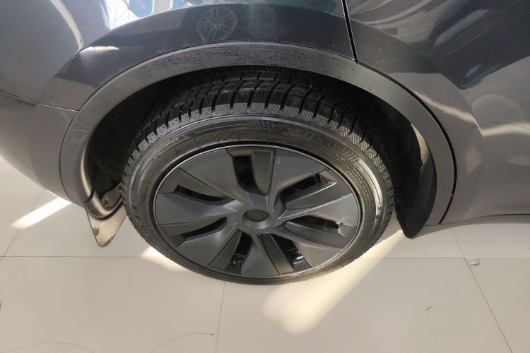 特斯拉 Model Y 2024款 长续航全轮驱动版车身外观6008