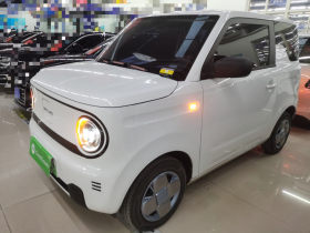 吉利银河 2024款 熊猫mini 200km 耐力熊