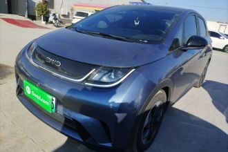 比亚迪 海豚 2024款 荣耀版 420km 时尚版