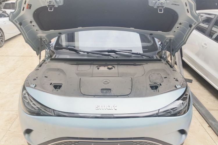 smart精灵#3 2023款 Pulse四驱版局部细节24