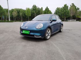 欧拉好猫 2023款 401km标准续航 尊贵型 磷酸铁锂