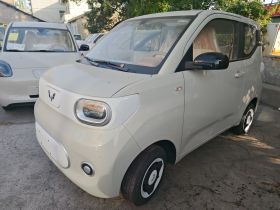 五菱汽车 宏光MINIEV 2024款 第三代 215km 青春版