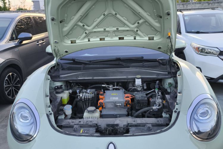 欧拉好猫 2023款 401km标准续航 舒享型 磷酸铁锂机舱底盘24