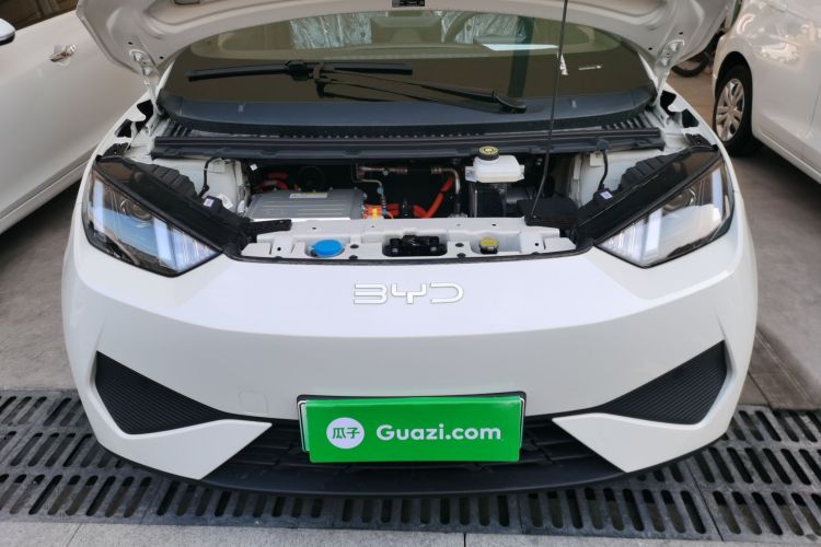 比亚迪 海鸥 2025款 智驾版 305km 活力版机舱底盘24