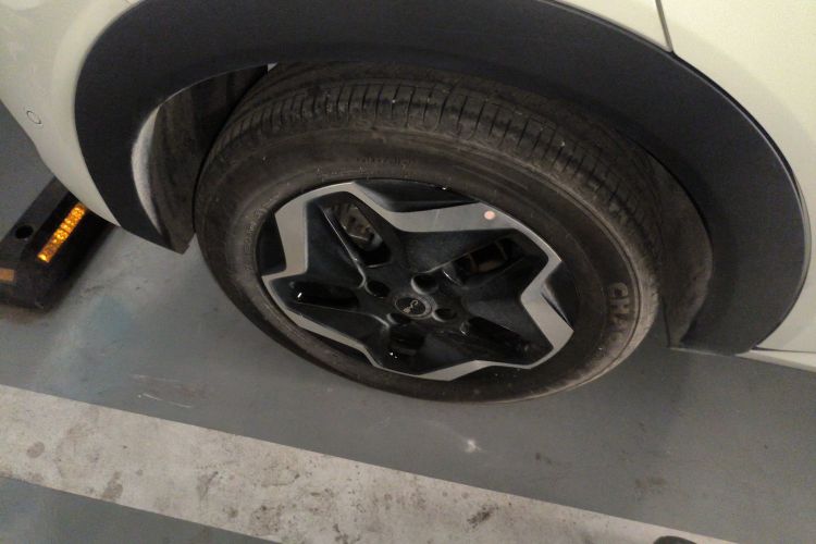 比亚迪 海豚 2025款 智驾版 420km 自由版车身外观6002