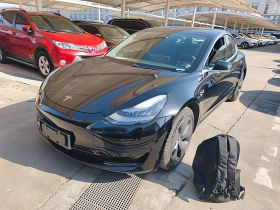 特斯拉 Model 3 2020款 改款 标准续航后驱升级版