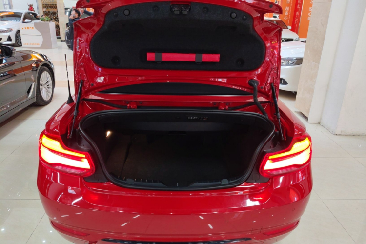 宝马2系(进口) 2019款 225i 敞篷轿跑车 运动设计套装局部细节23