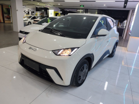 比亚迪 海鸥 2023款 活力版