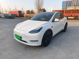 特斯拉 Model Y 2023款 长续航全轮驱动版