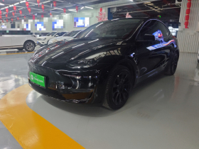 特斯拉 Model Y 2021款 标准续航后驱版