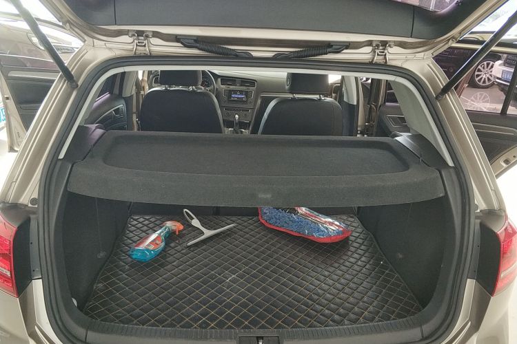 大众 高尔夫 2016款 230TSI 自动舒适型机舱底盘23