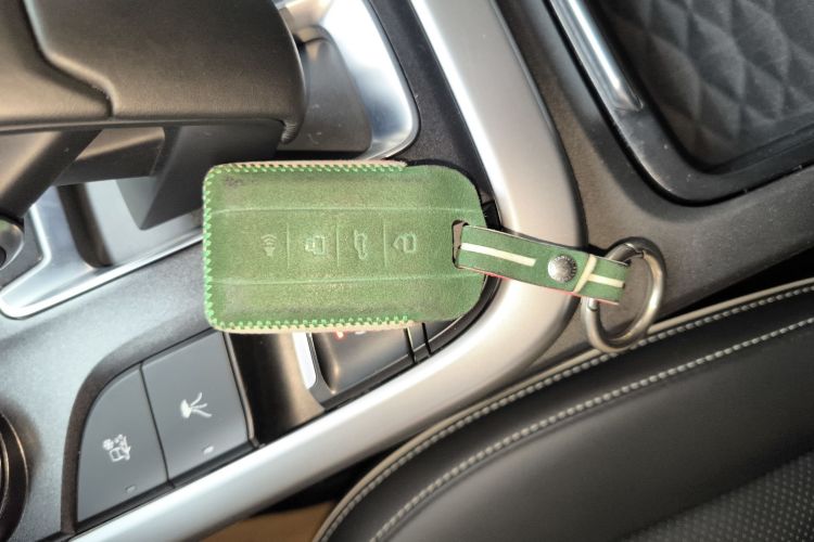 坦克300 2024款 2.0T 征服者中控内饰7001