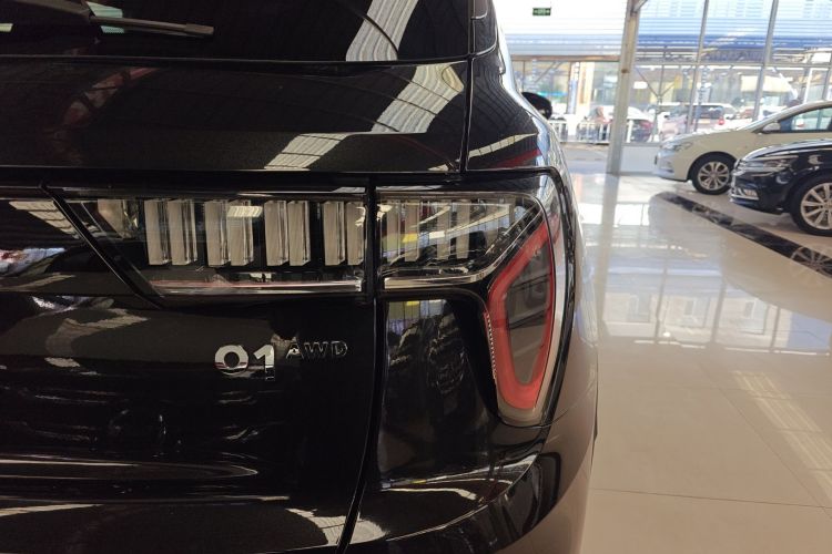 领克01 2021款 2.0TD 四驱暗夜版车身外观9