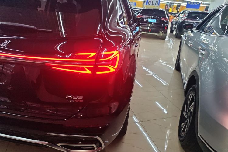 红旗HS5 2023款 2.0T 四驱旗享Pro版车身外观9