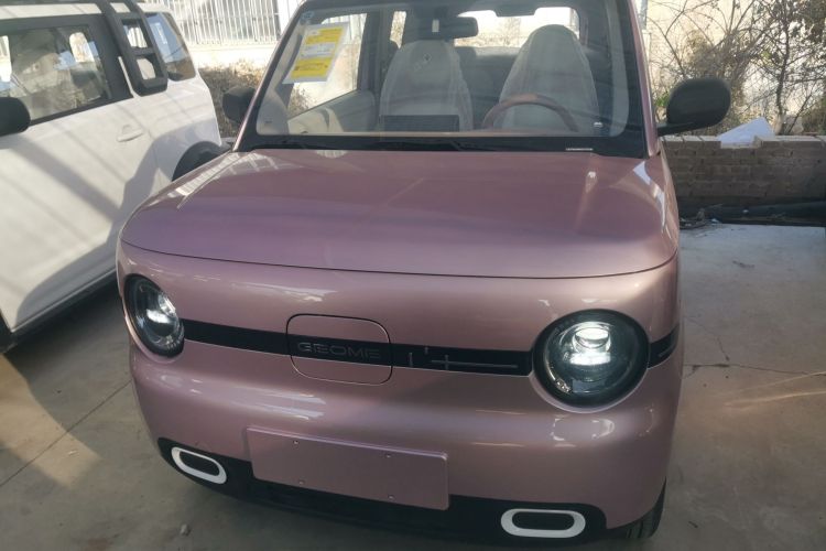 吉利银河 熊猫 2025款 210km 元气熊车身外观2