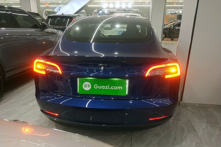 特斯拉 Model 3(进口) 2019款 长续航后驱版车身外观6