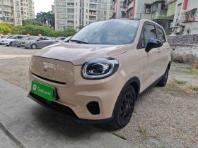 零跑汽车 零跑T03 2023款 310轻享版