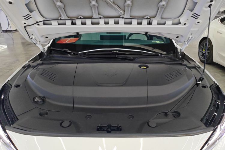 ARCFOX极狐 极狐 阿尔法S5 2024款 560PRO 185kW局部细节24