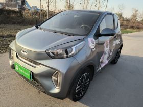 奇瑞 小蚂蚁 2022款 改款 甜粉款 半糖版 磷酸铁锂 30.7kWh 30kW 301km