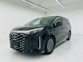 比亚迪 夏 2025款 DM-i 1.5T 180km 卓越型