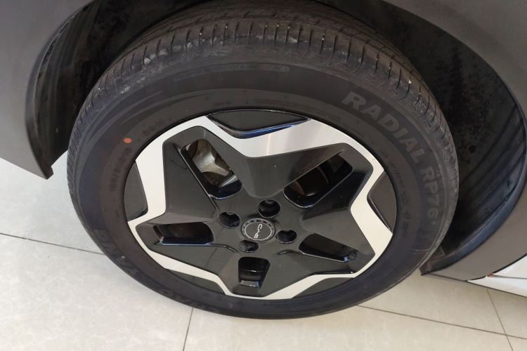 比亚迪 海豚 2021款 405km 自由版车身外观6008