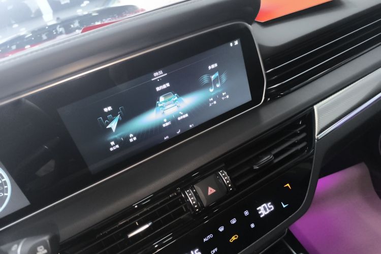 红旗HS5 2019款 2.0T 智联旗享四驱版局部细节16