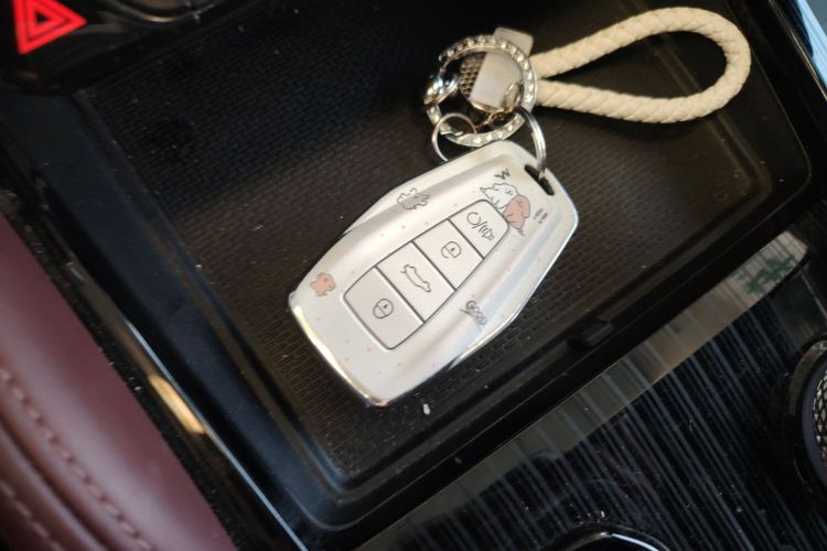 吉利汽车 星越L 2021款 2.0TD DCT EVO两驱尊贵型中控内饰7001