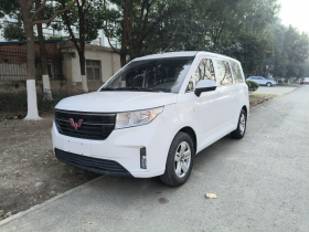 五菱汽车 五菱宏光PLUS 2020款 1.5L 手动舒适型 7座