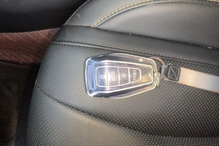 吉利汽车 星越L 2024款 2.0TD DCT EVO两驱长风版中控内饰11